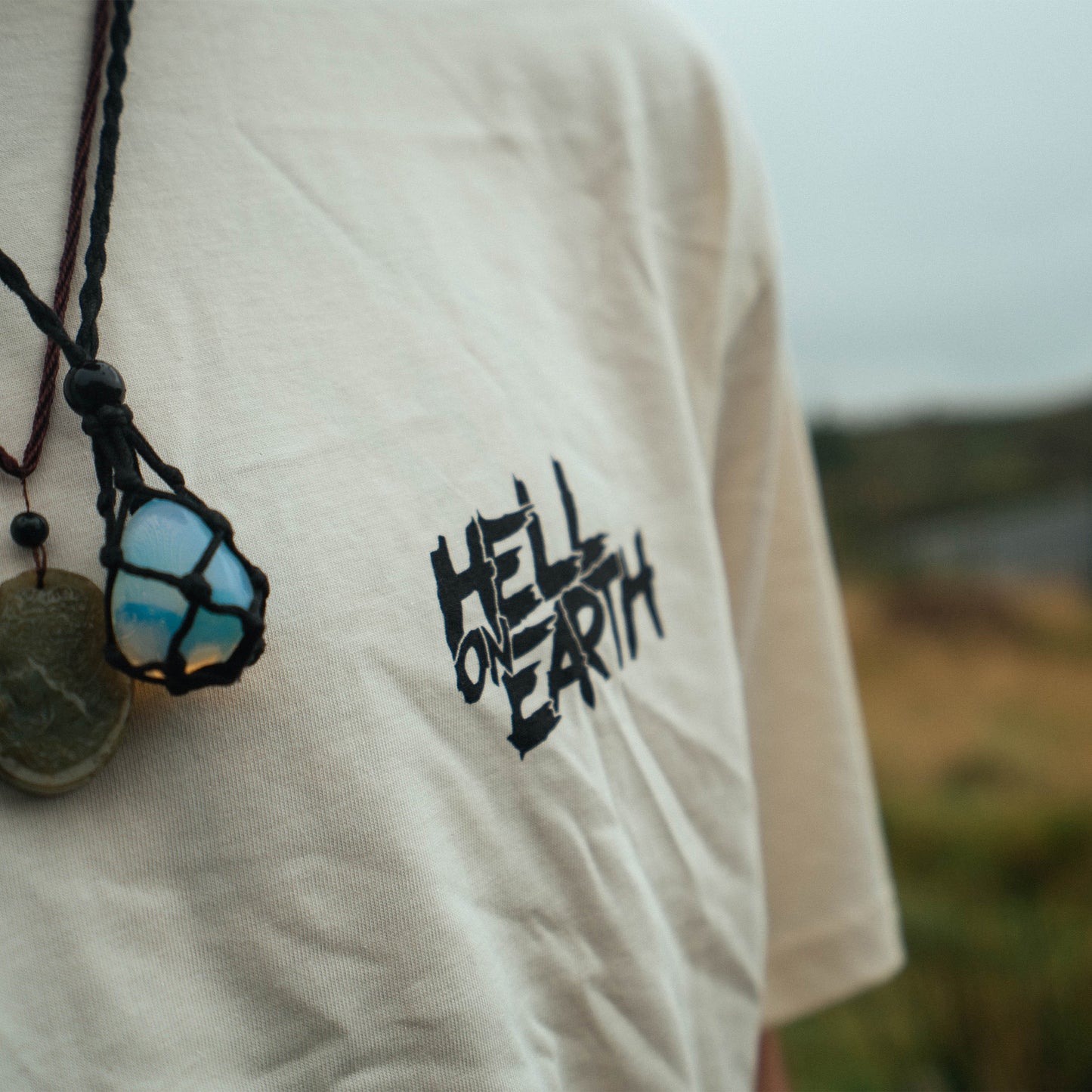 Alsatian Abduction 2 T-Shirt