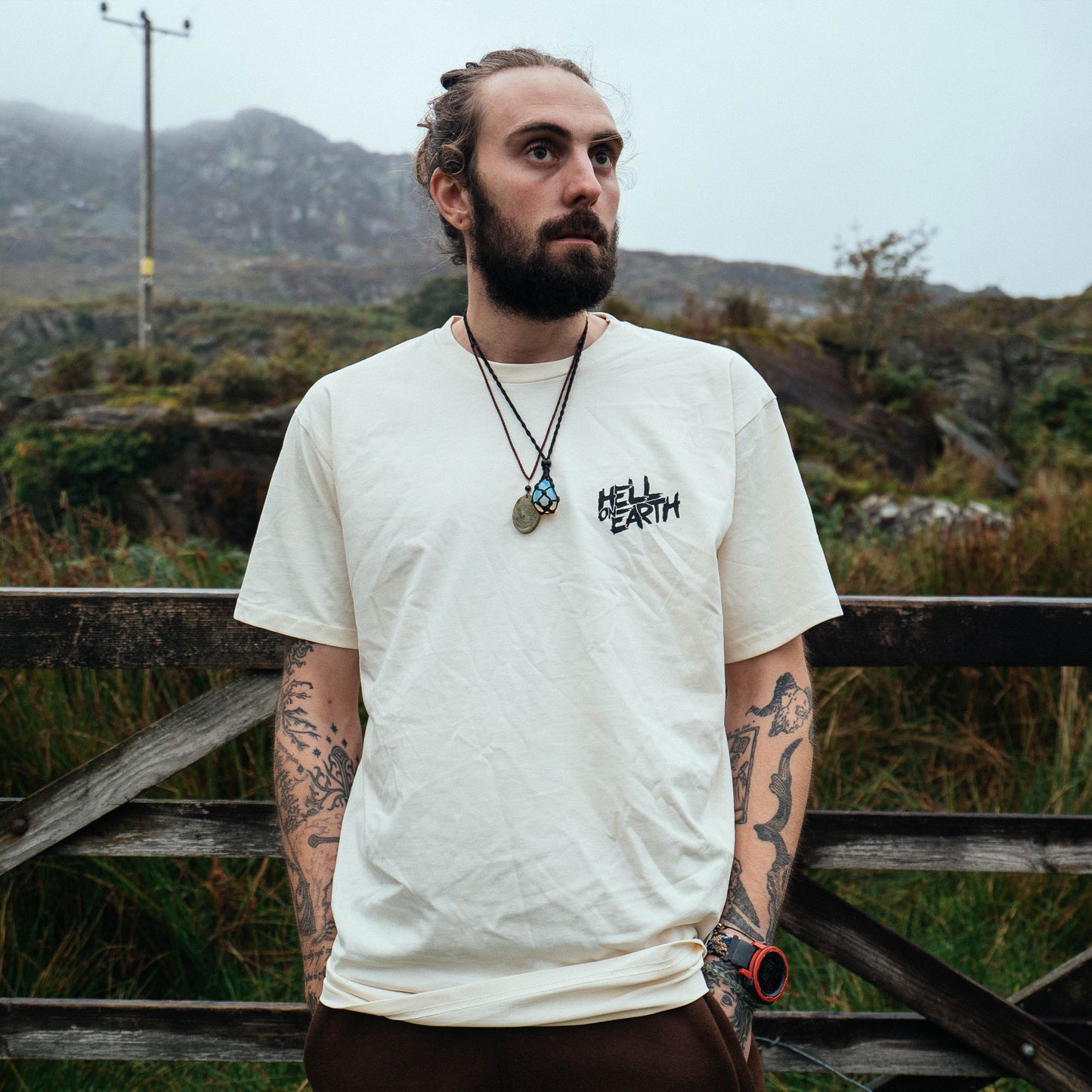 Alsatian Abduction 2 T-Shirt